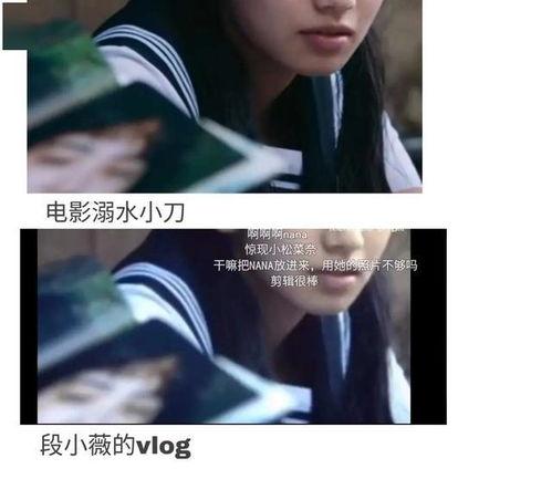 重生之我在娱乐圈吃瓜,瓜田漫步，笑看风云