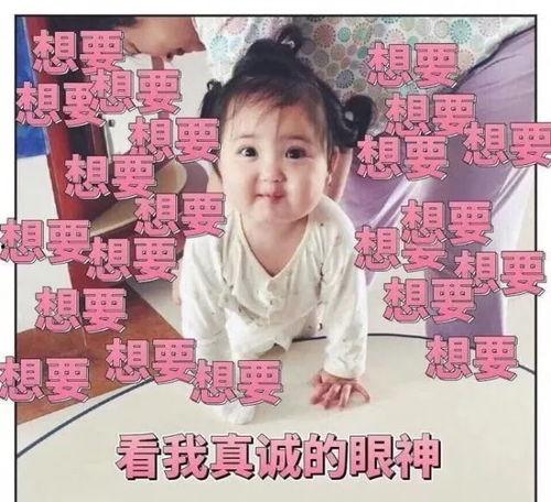 吃瓜娱乐小崽崽小说,小崽崽的娱乐圈奇遇记