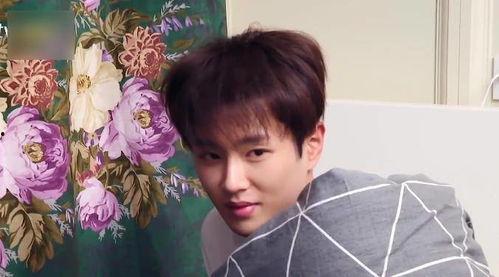 吃瓜娱乐王栎鑫是谁扮演的