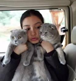 娱乐吃瓜酱小众宠物,娱乐吃瓜酱带你领略独特宠物风采