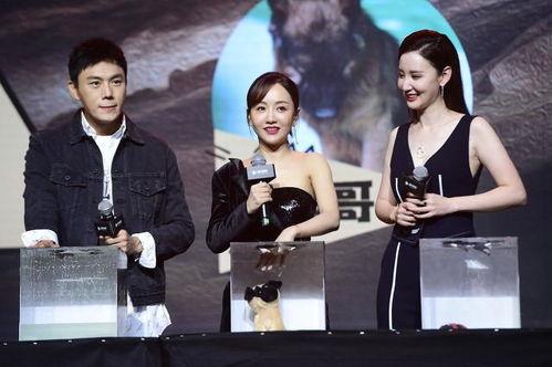 娱乐圈吃瓜博主 合集,揭秘明星幕后故事与八卦风云