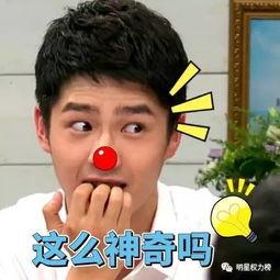 逗尔娱乐吃瓜看点在哪里,揭秘娱乐圈幕后故事