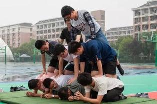 娱乐吃瓜酱操场,揭秘操场背后的那些事儿