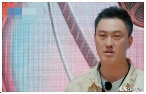 小鱼吃瓜娱乐圈,娱乐圈幕后风云揭秘